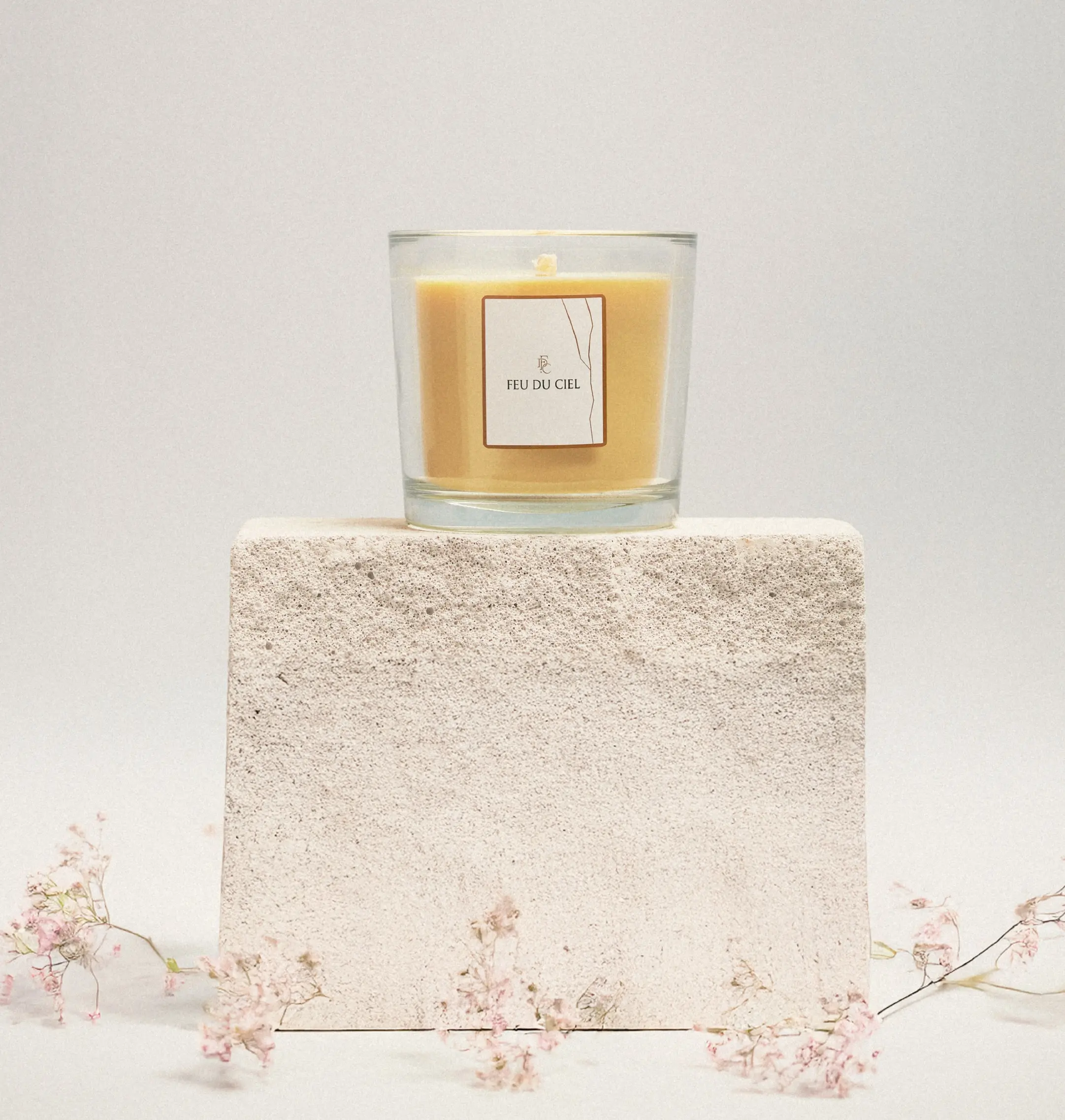 Mum Kaç Yıldır İnsan Hayatında? 